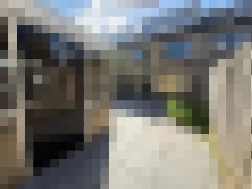 Tigris 25 Amstelveen thumbnail 4