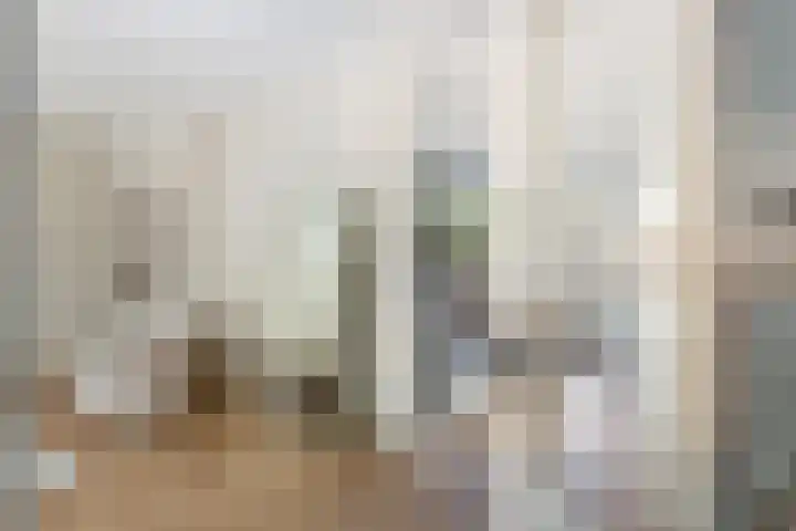 Tigrisdreef 250 Utrecht thumbnail 10