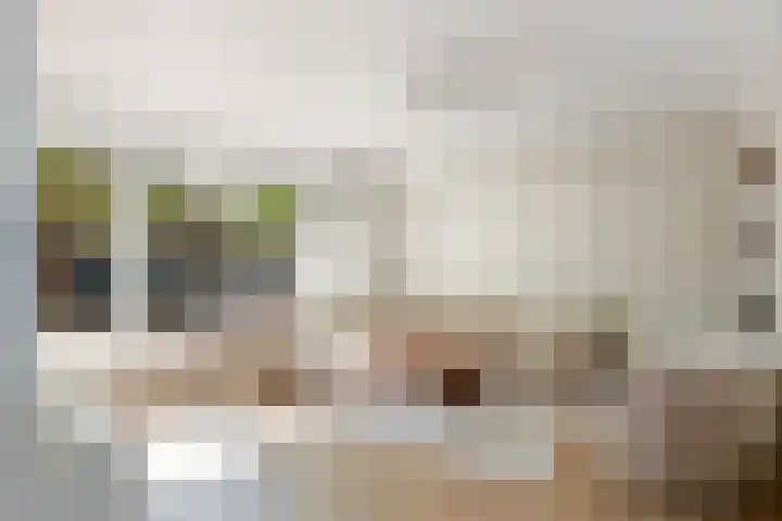Tigrisdreef 250 Utrecht thumbnail 12