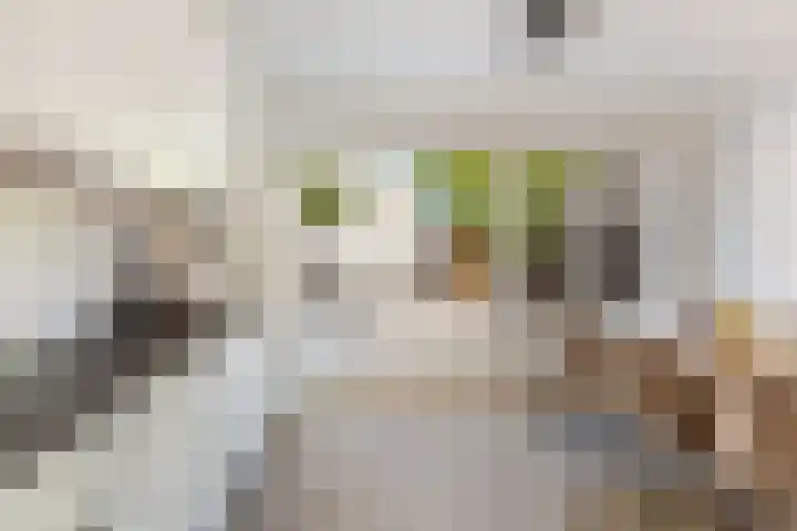 Tigrisdreef 250 Utrecht thumbnail 18