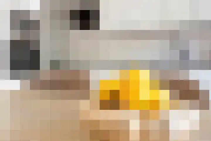 Tigrisdreef 250 Utrecht thumbnail 20