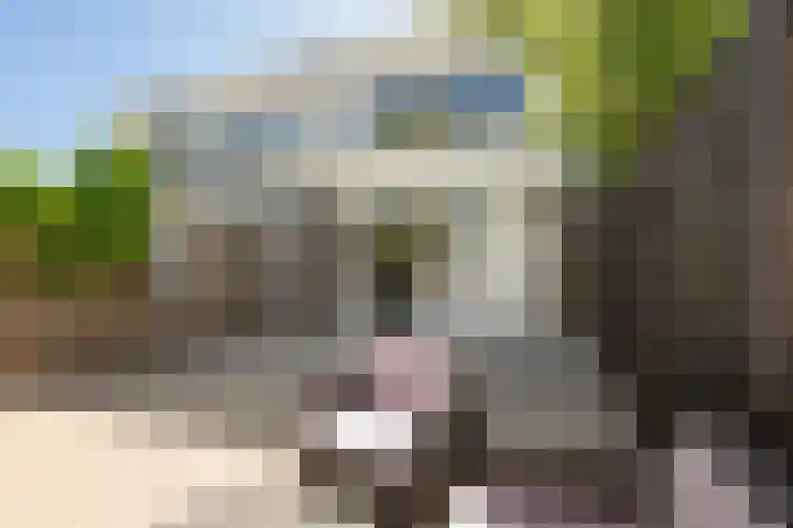 Tigrisdreef 250 Utrecht thumbnail 24