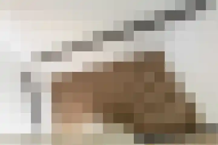 Tigrisdreef 250 Utrecht thumbnail 27