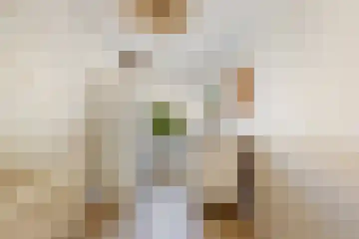 Tigrisdreef 250 Utrecht thumbnail 30