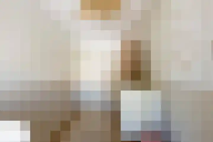 Tigrisdreef 250 Utrecht thumbnail 31