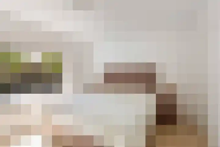 Tigrisdreef 250 Utrecht thumbnail 32