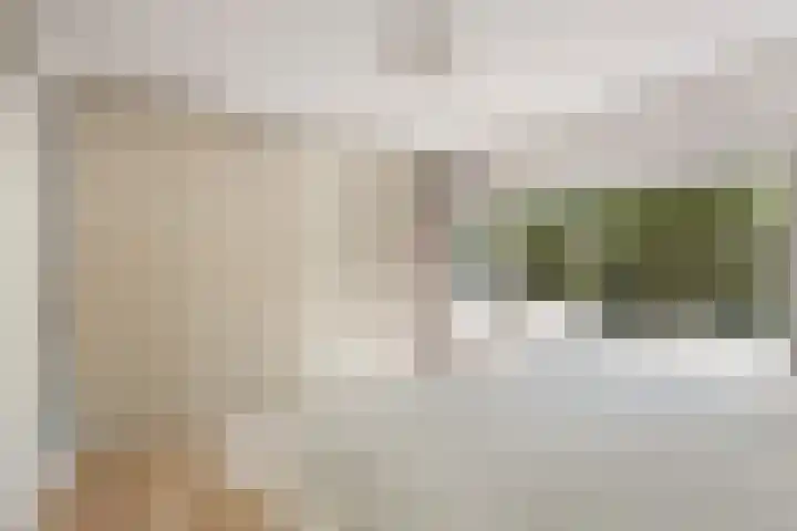 Tigrisdreef 250 Utrecht thumbnail 33