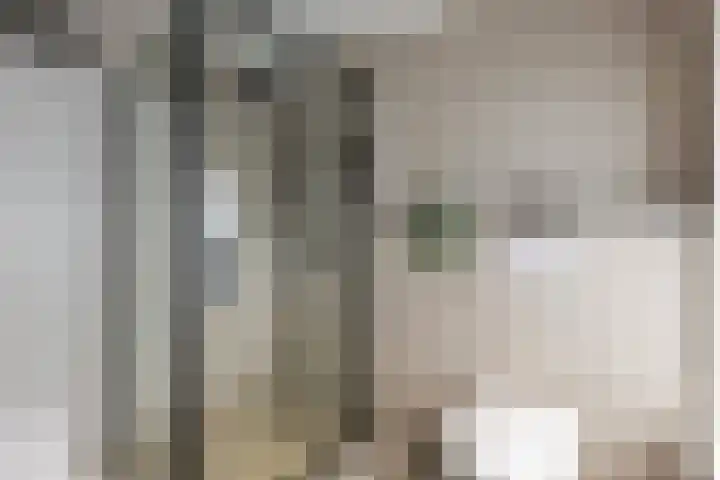 Tigrisdreef 250 Utrecht thumbnail 35