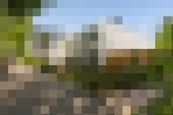 Tigrisdreef 250 Utrecht thumbnail 37