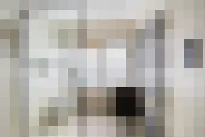 Tigrisdreef 250 Utrecht thumbnail 4