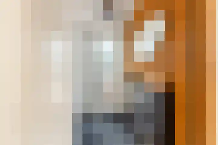 Tigrisdreef 250 Utrecht thumbnail 7