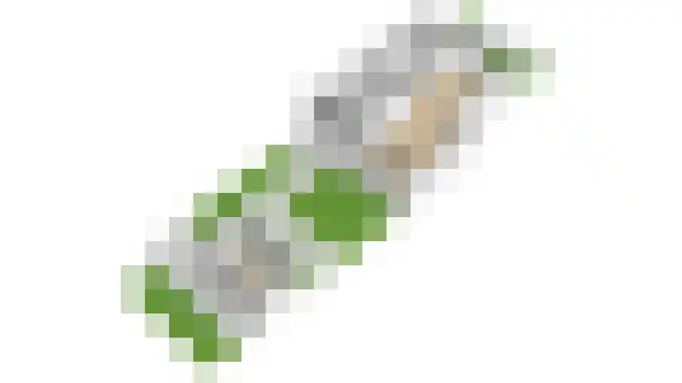 Tigrisdreef 294 Utrecht thumbnail 44