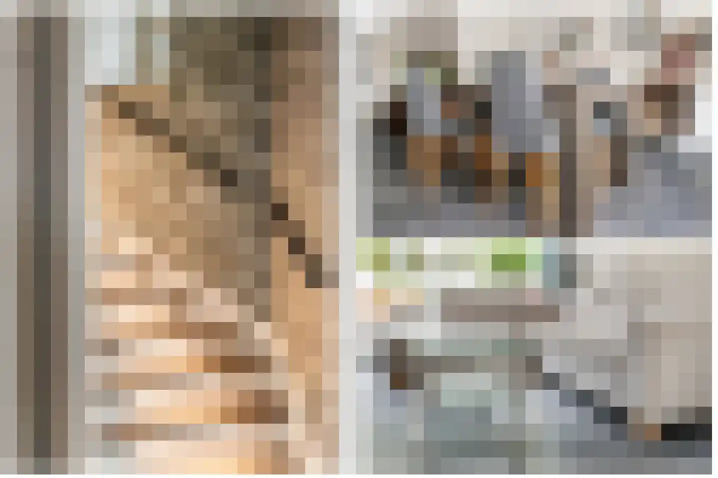 Tigrisdreef 300 Utrecht thumbnail 15