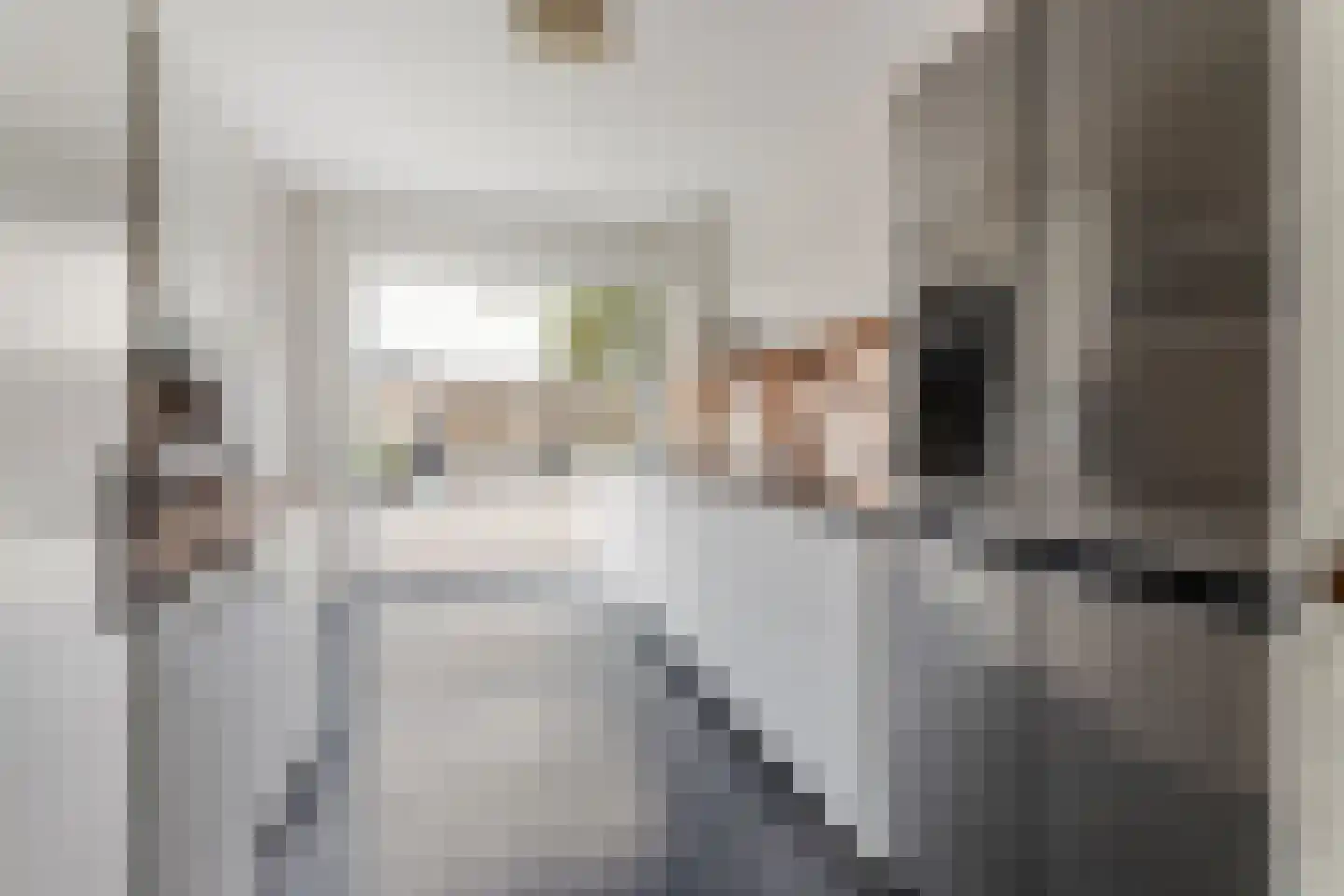 Tigrisdreef 300 Utrecht thumbnail 20