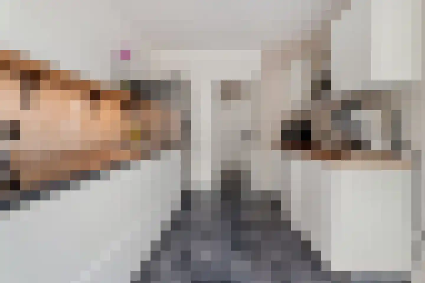 Tigrisdreef 300 Utrecht thumbnail 21