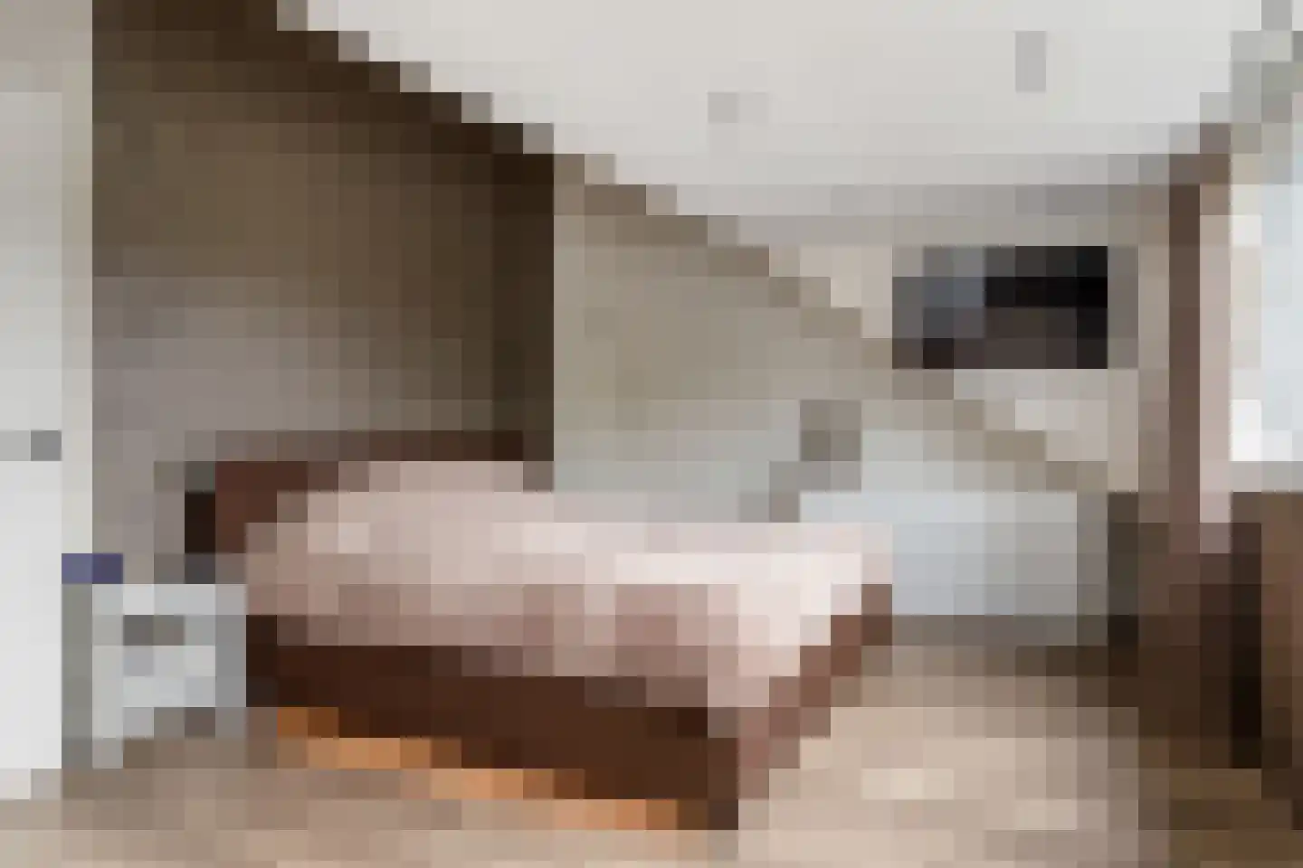 Tigrisdreef 300 Utrecht thumbnail 34