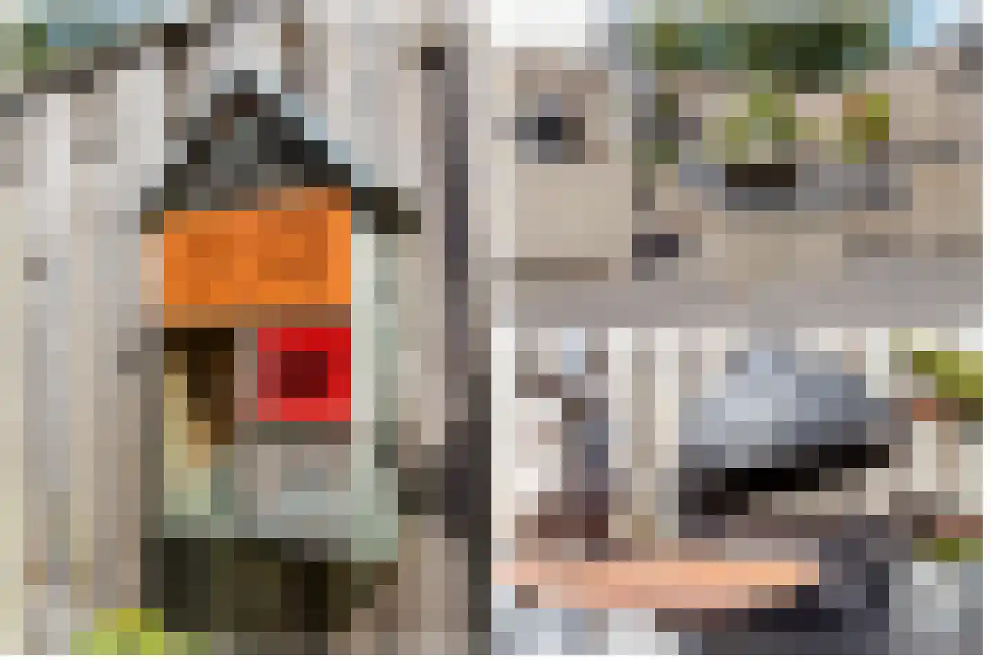 Tigrisdreef 300 Utrecht thumbnail 41