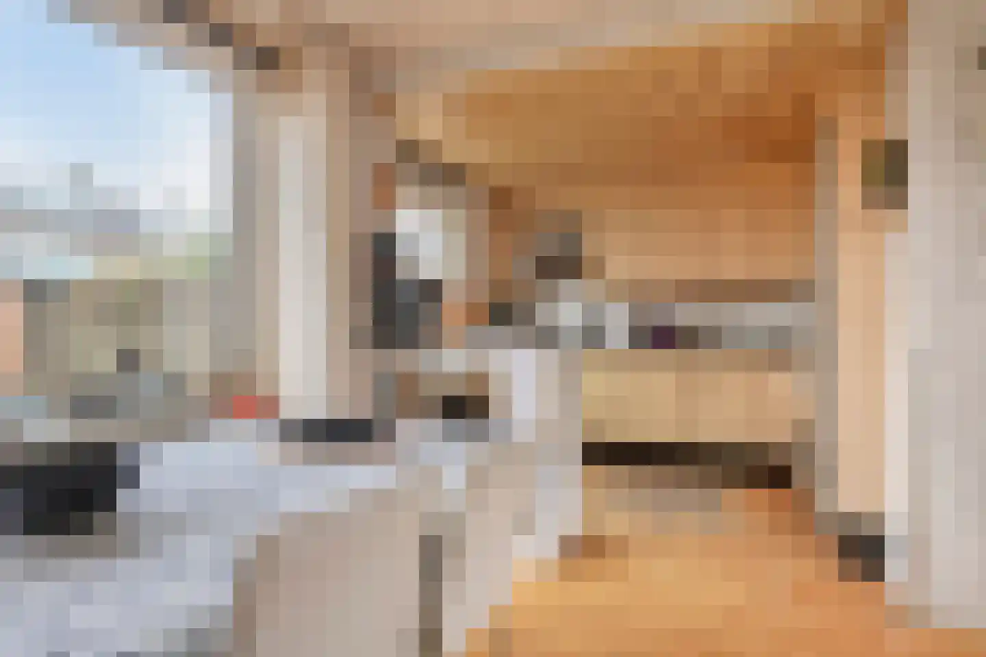 Tigrisdreef 35 Utrecht thumbnail 15