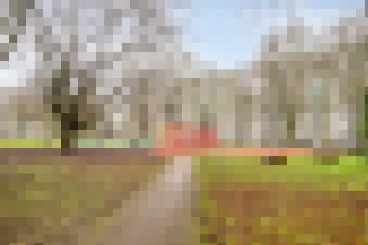 Tigrisdreef 35 Utrecht thumbnail 34