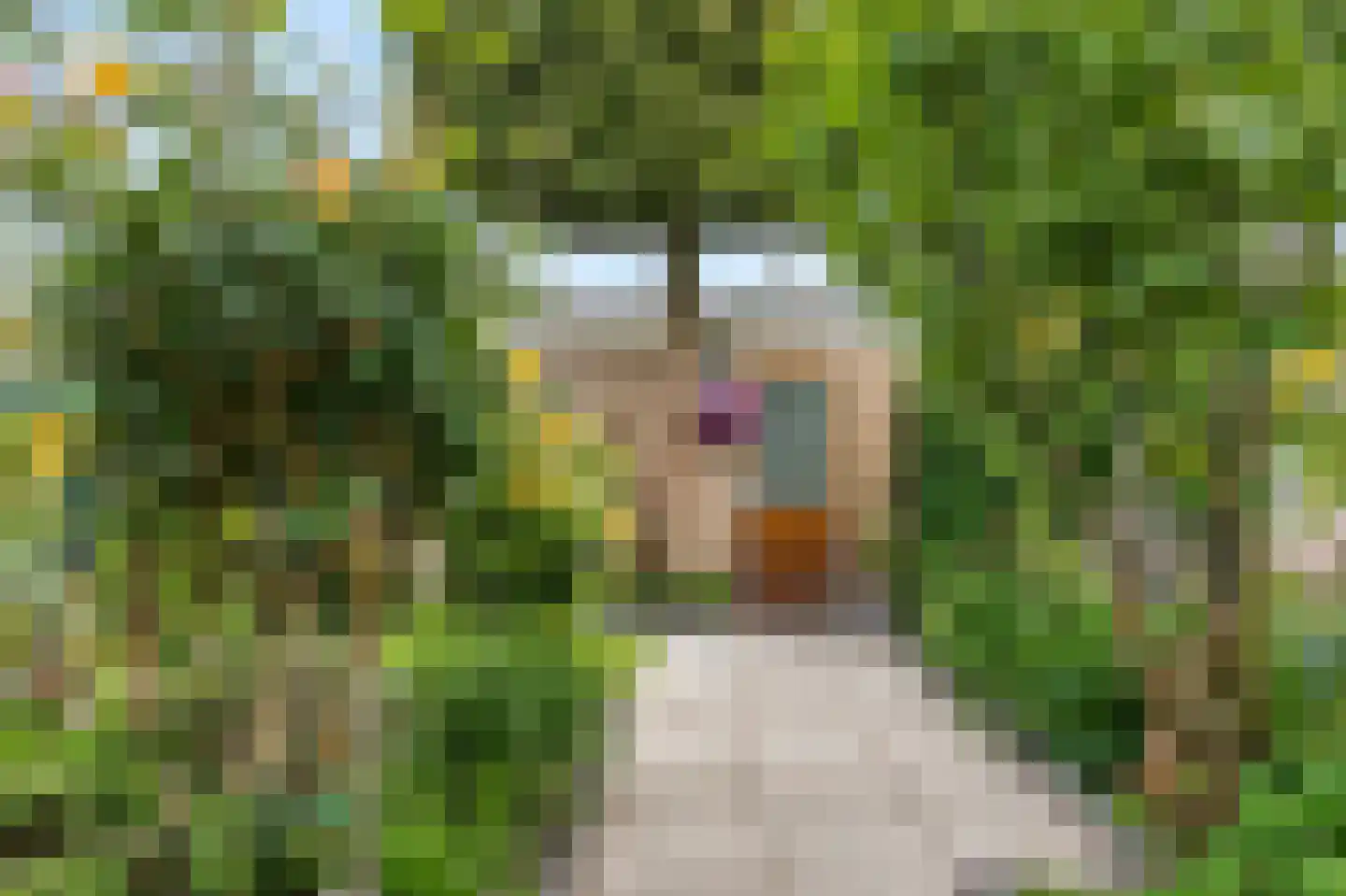 Tigrisdreef 47 Utrecht thumbnail 21