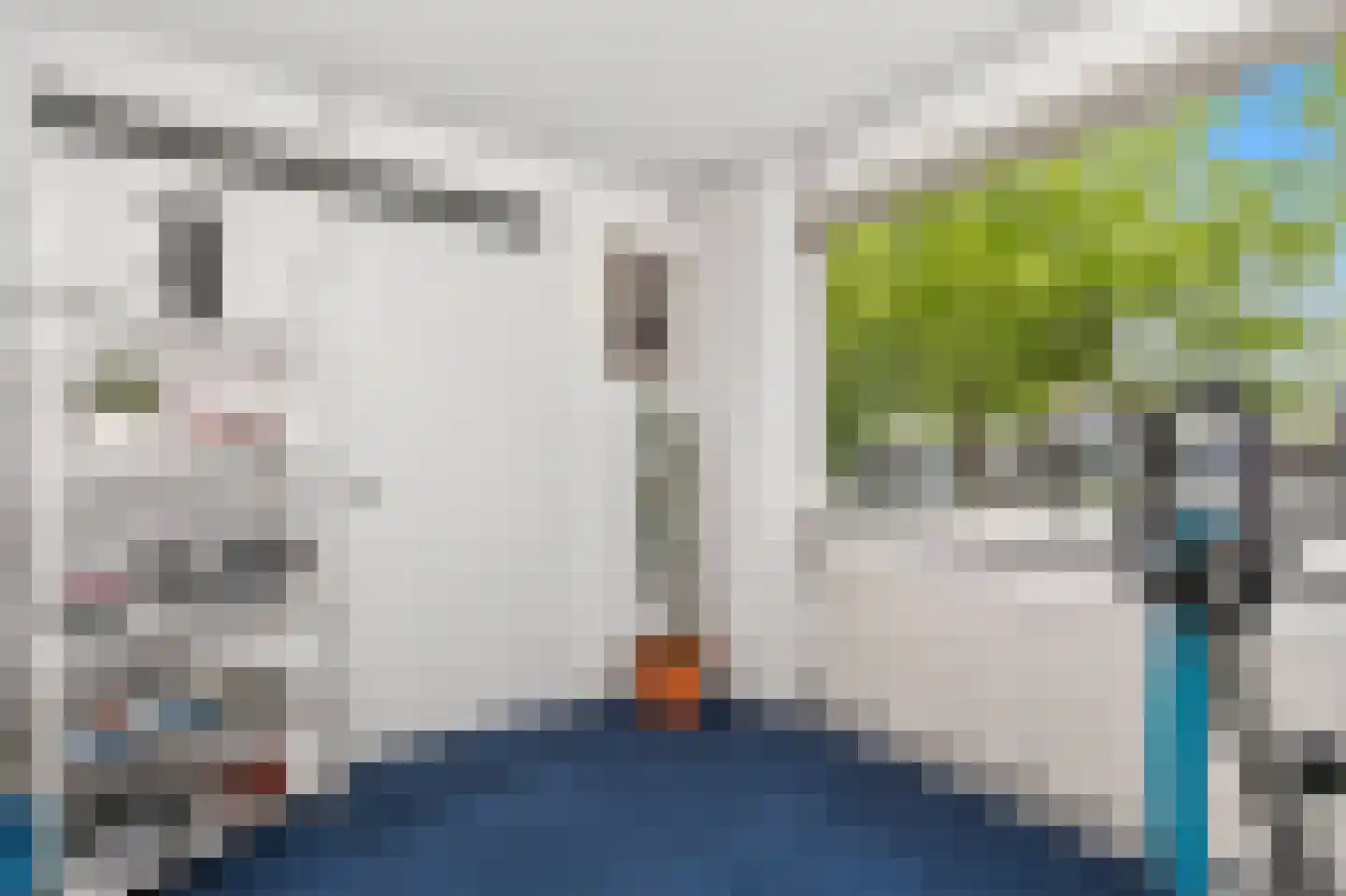 Tigrisdreef 47 Utrecht thumbnail 31