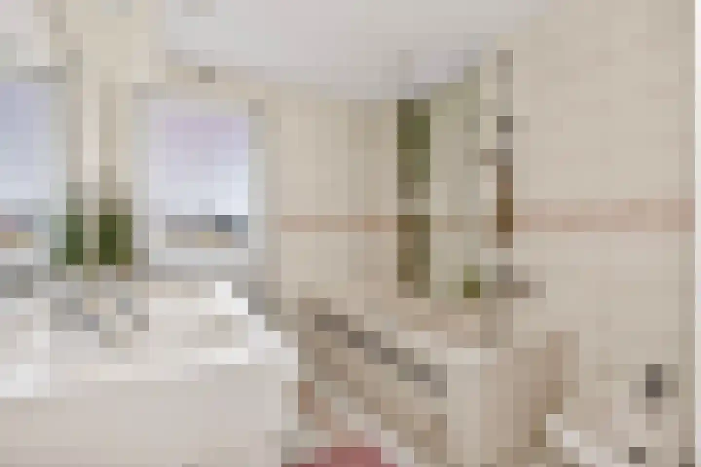 Tigrisdreef 47 Utrecht thumbnail 39