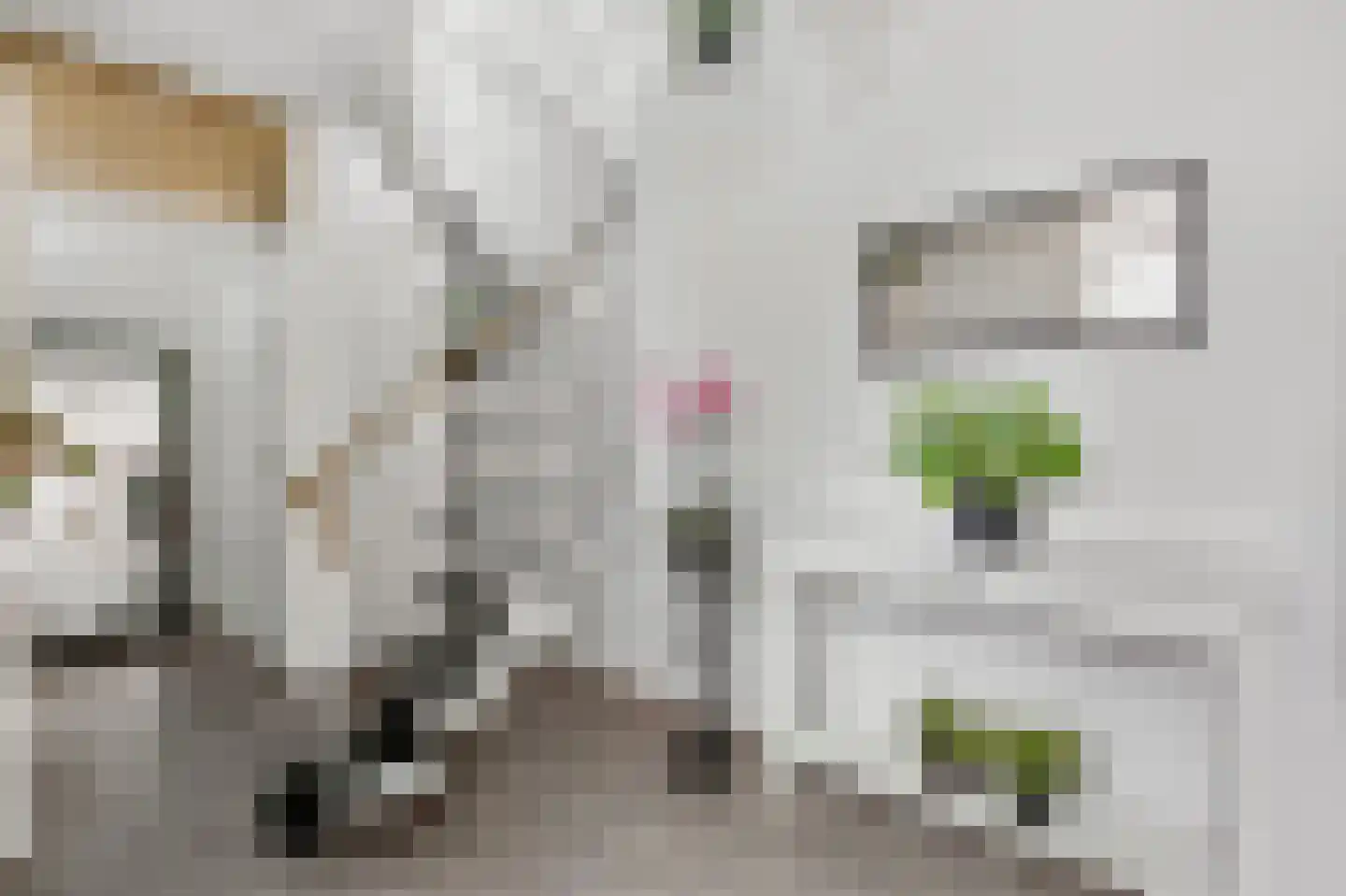 Tigrisdreef 47 Utrecht thumbnail 6