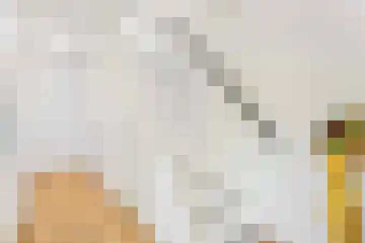 Tigrisdreef 67 Utrecht thumbnail 10