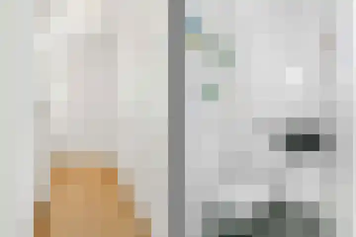 Tigrisdreef 67 Utrecht thumbnail 11