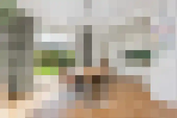 Tigrisdreef 67 Utrecht thumbnail 15