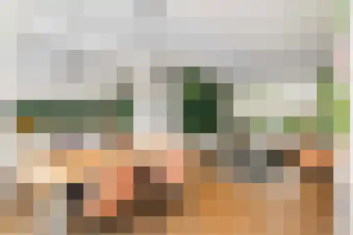 Tigrisdreef 67 Utrecht thumbnail 18