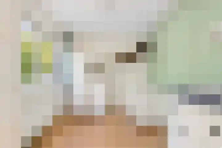 Tigrisdreef 67 Utrecht thumbnail 20