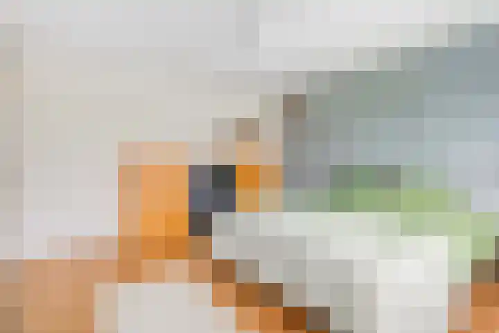 Tigrisdreef 67 Utrecht thumbnail 25