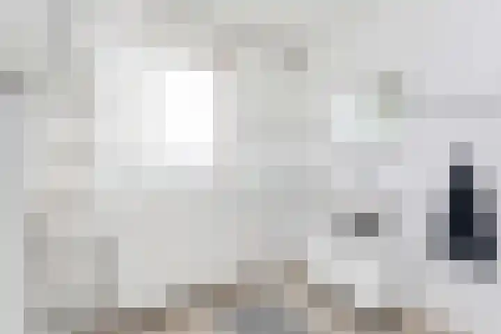 Tigrisdreef 67 Utrecht thumbnail 26