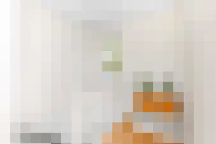 Tigrisdreef 67 Utrecht thumbnail 28