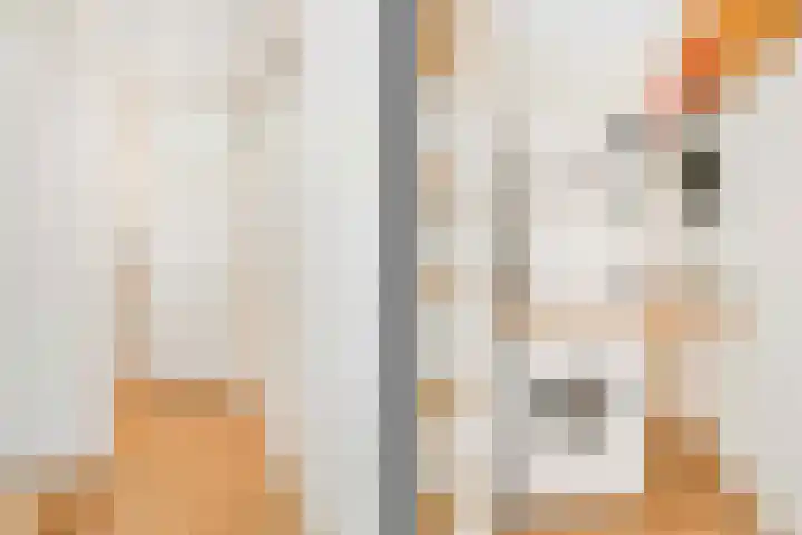 Tigrisdreef 67 Utrecht thumbnail 29