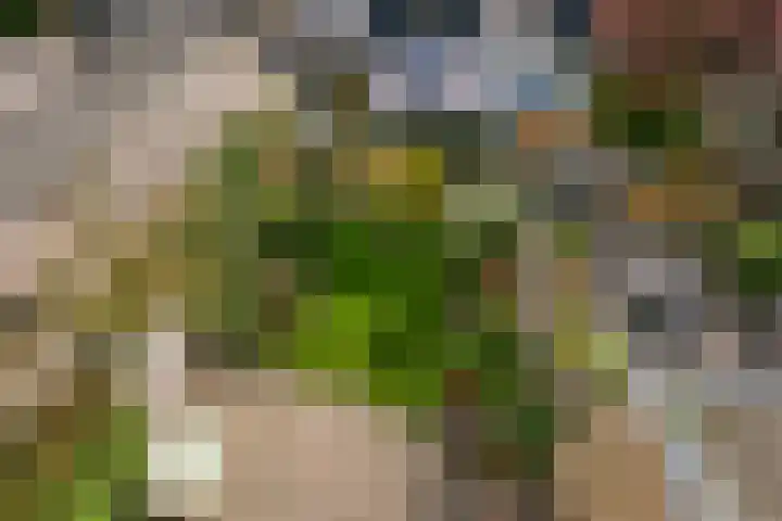 Tigrisdreef 67 Utrecht thumbnail 35