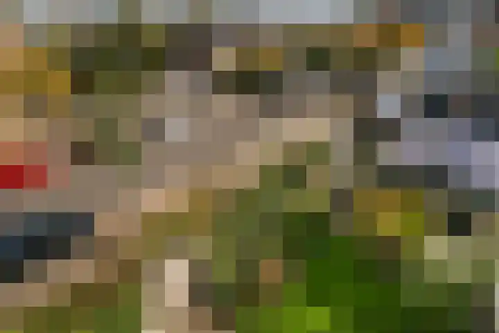 Tigrisdreef 67 Utrecht thumbnail 36