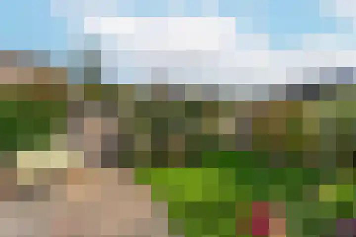 Tigrisdreef 67 Utrecht thumbnail 37