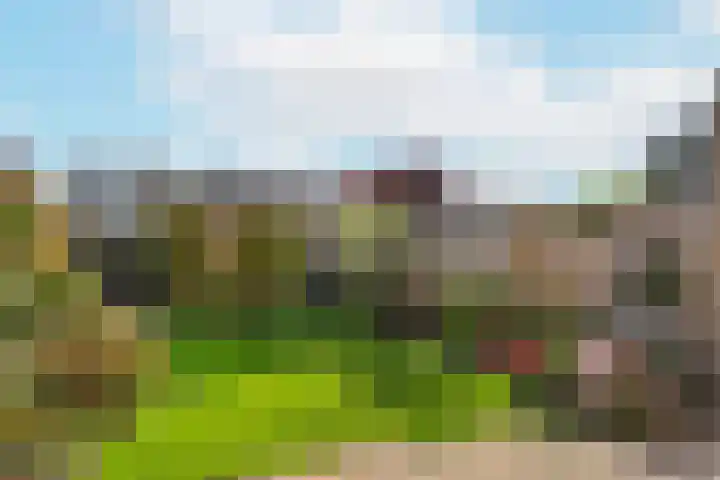 Tigrisdreef 67 Utrecht thumbnail 38