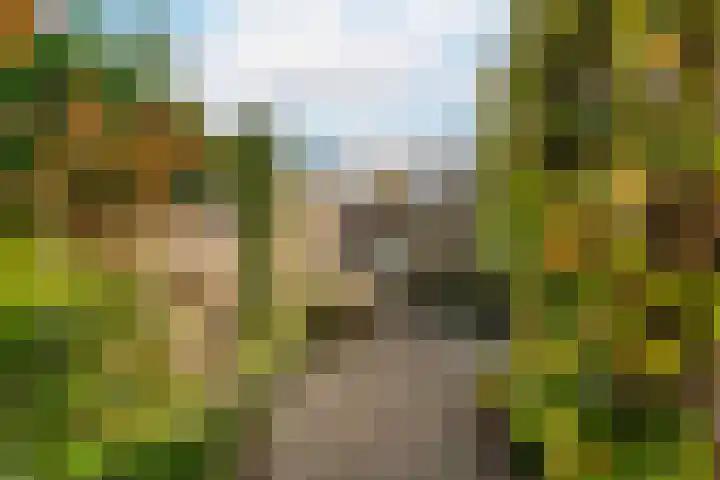 Tigrisdreef 67 Utrecht thumbnail 39