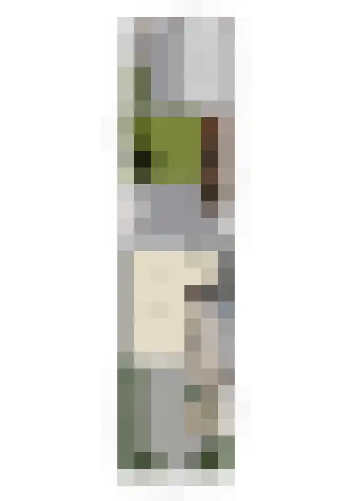 Tigrisdreef 67 Utrecht thumbnail 46