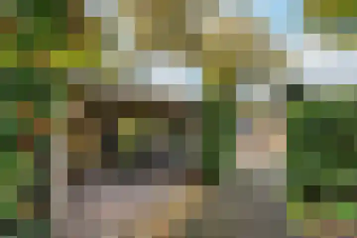 Tigrisdreef 67 Utrecht thumbnail 7