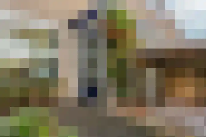 Tigrisdreef 67 Utrecht thumbnail 8