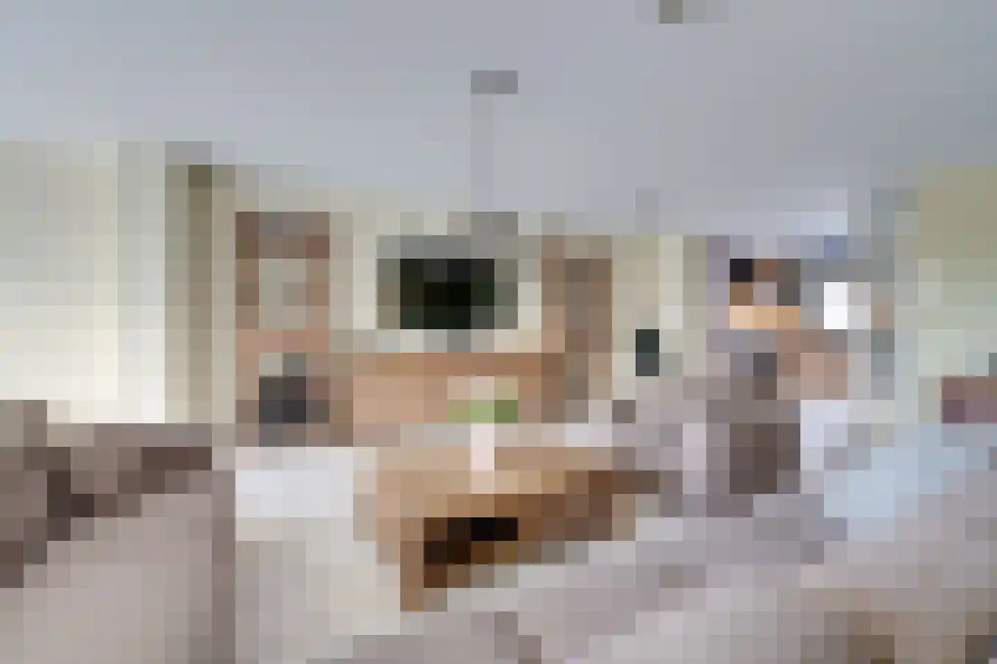Tigrisstraat 15 Purmerend thumbnail 12