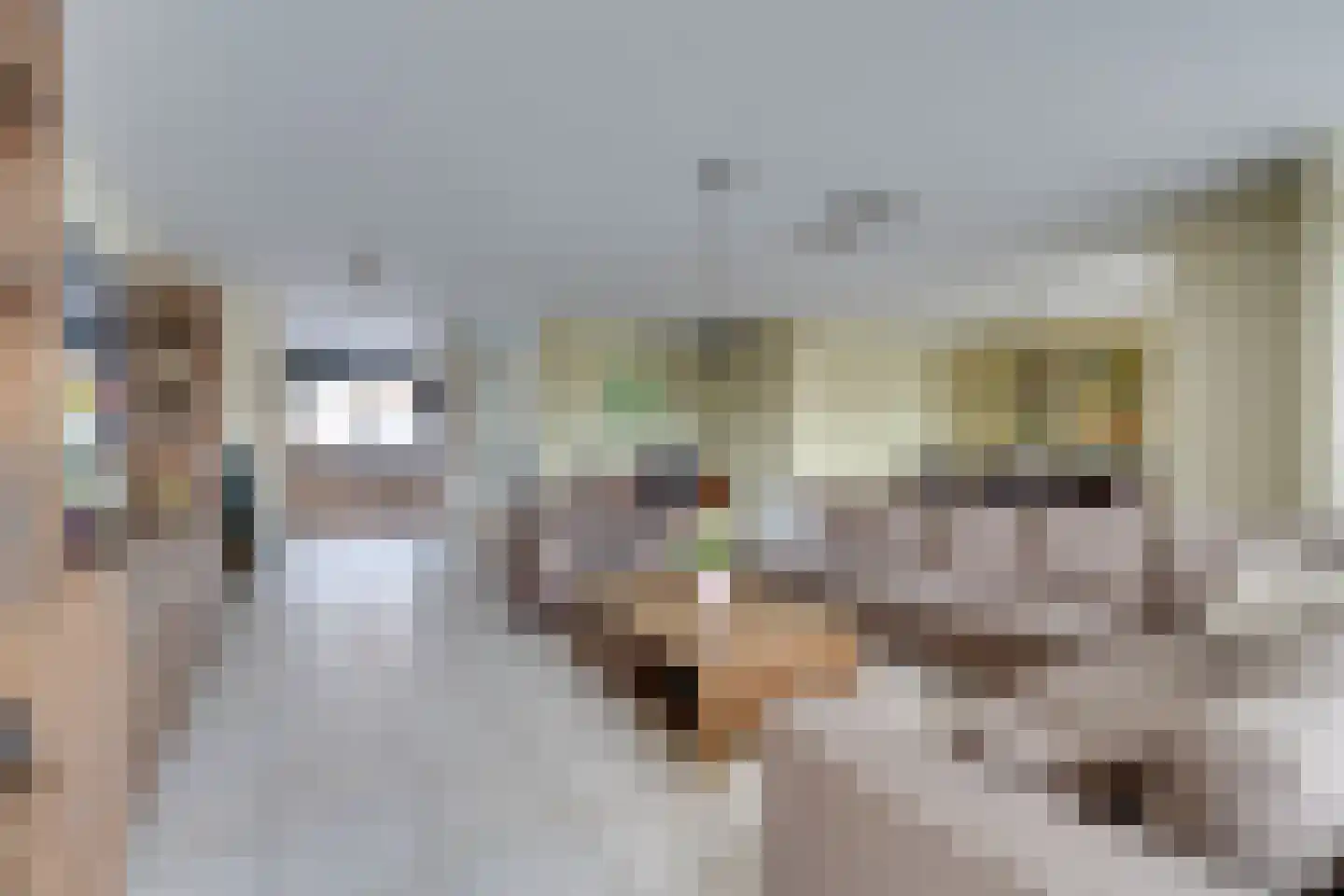 Tigrisstraat 15 Purmerend thumbnail 21