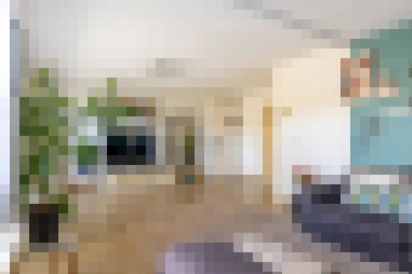Tigrisstraat 23 Purmerend thumbnail 11