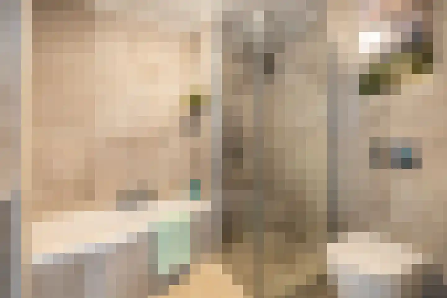 Tigrisstraat 23 Purmerend thumbnail 31