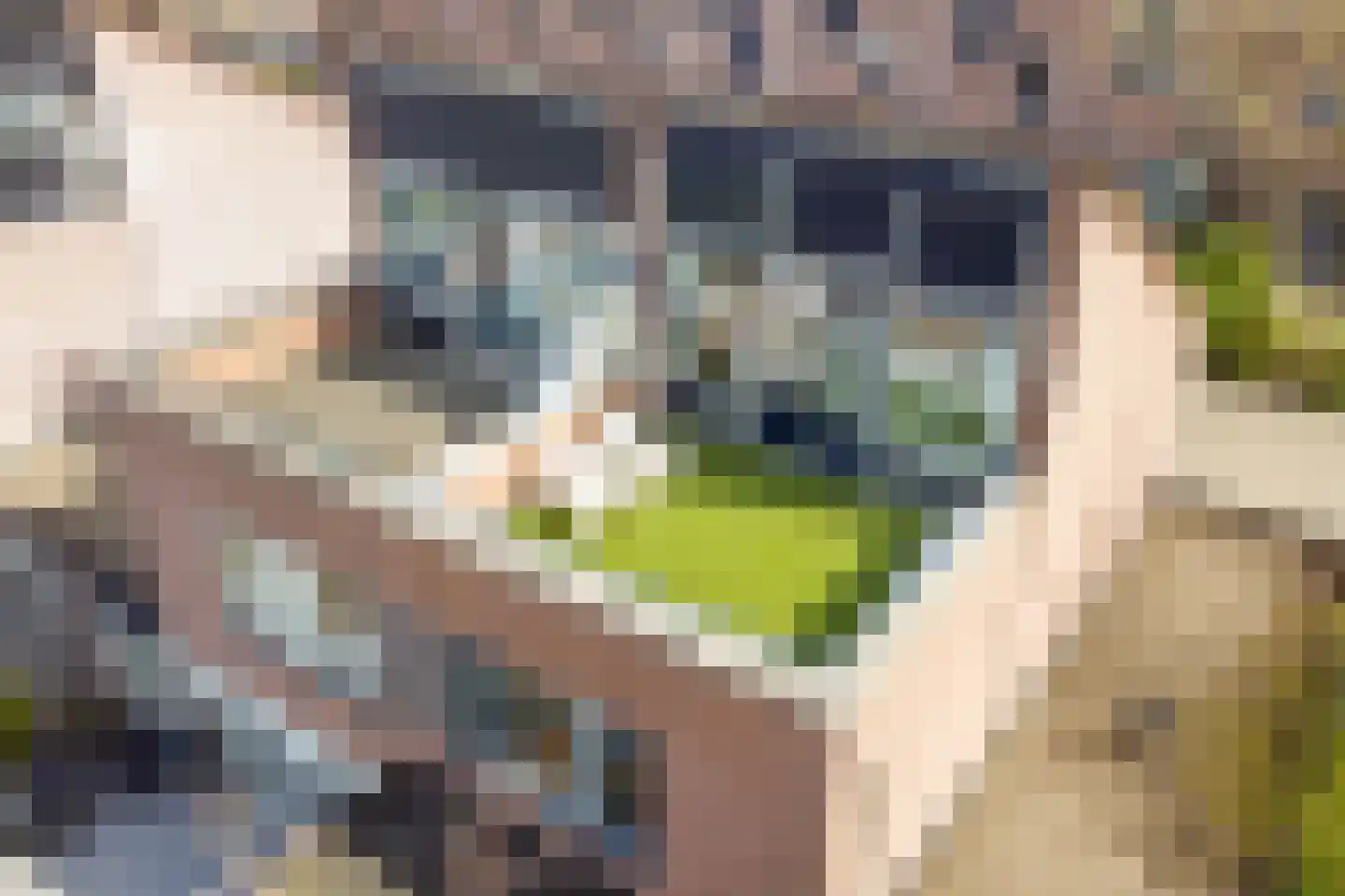 Tigrisstraat 23 Purmerend thumbnail 4