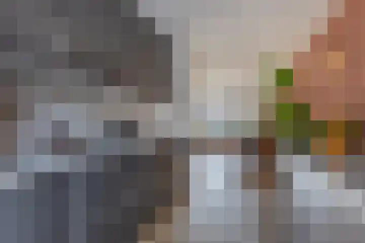 Tigrisstraat 88 Purmerend thumbnail 21